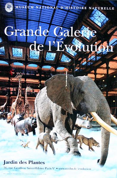 Paris (253).JPG
